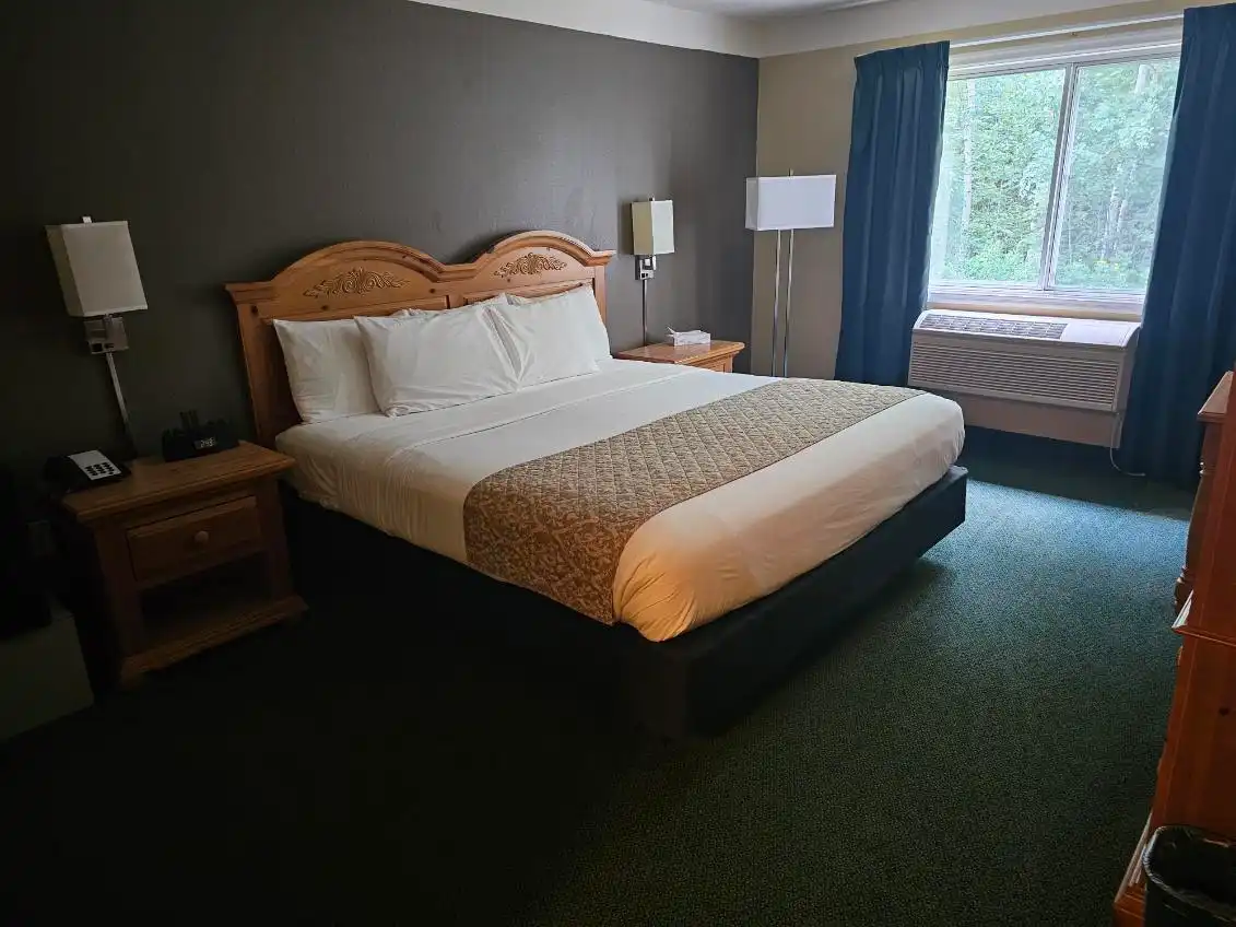 A guest room window looking into the pines at Country Inn of Hoyt Lakes